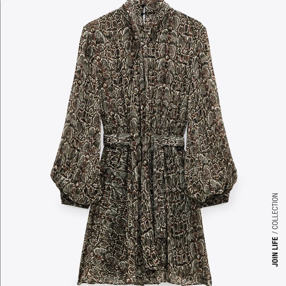 Zara animal print dress. - Picture 2 of 4